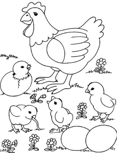 Học hỏi Hình vẽ con gà con với nhiều chủ đề