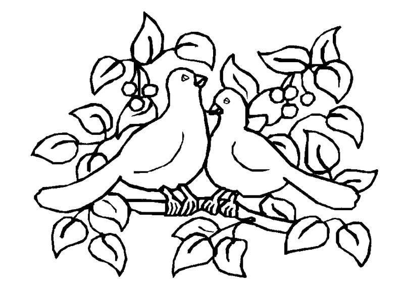 Cập nhật 54+ về con chim tô màu hay nhất - cdgdbentre.edu.vn