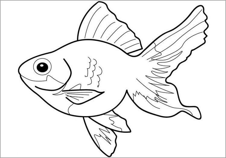 Chi tiết hơn 62 về tô màu tranh con cá hay nhất - Tô màu trực tuyến