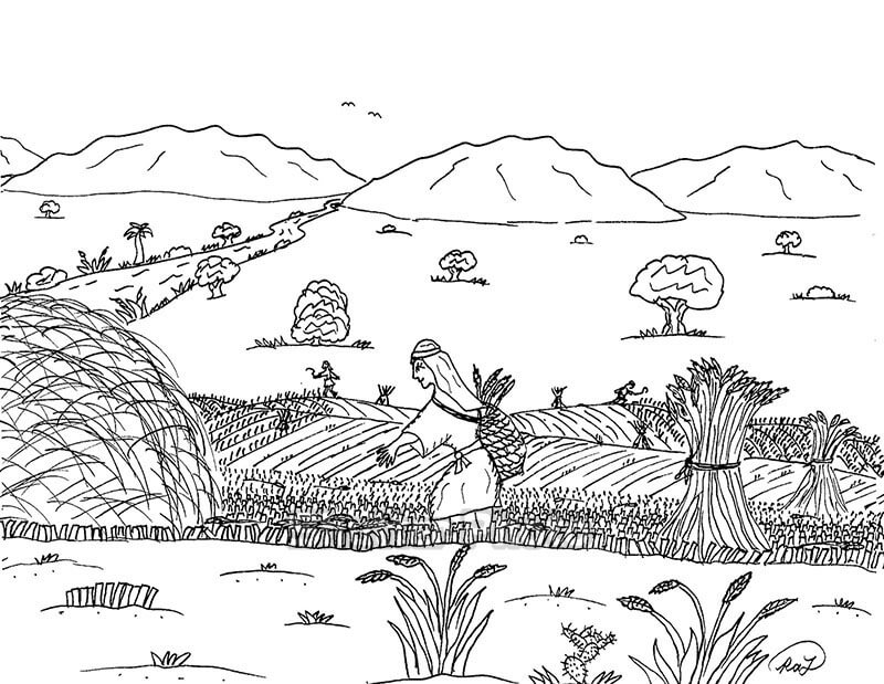 Top với hơn 62 về tranh tô màu cánh đồng lúa mới nhất - Du học Akina