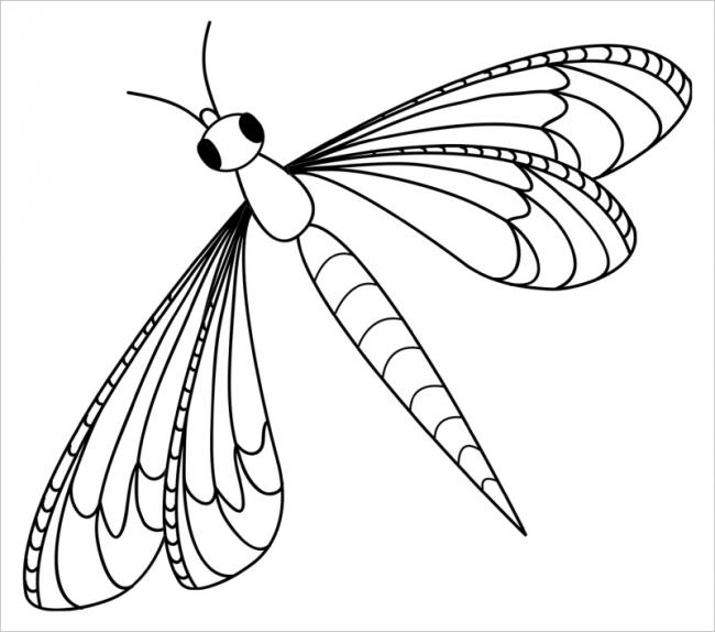 Xem hơn 100 ảnh về hình vẽ côn trùng - NEC