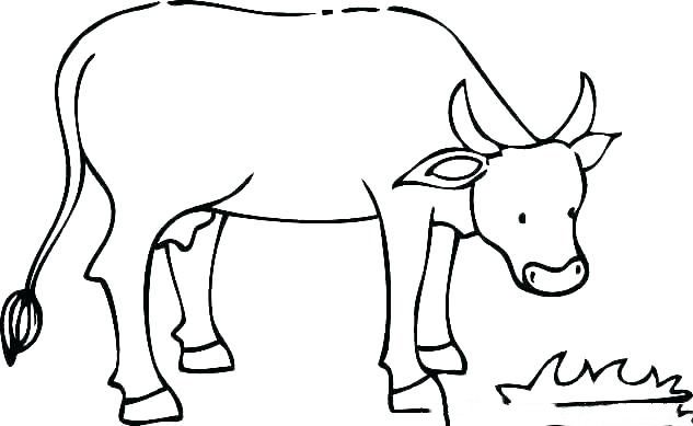 Tuyển tập tranh tô màu con bò cho bé tập tô | Hình ảnh, Hình, Động vật