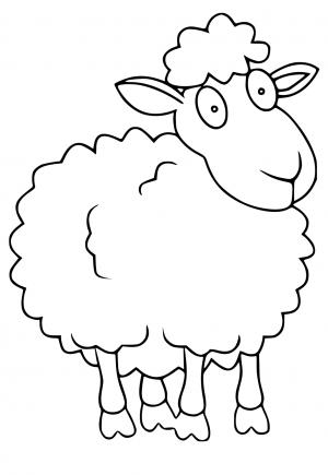 Tranh Tô Màu Con Cừu Có Thể In Miễn Phí, Trang Tính và Hình Ảnh cho Người Lớn và cho Bé (Bé Gái và Bé Trai) - Babeled.com