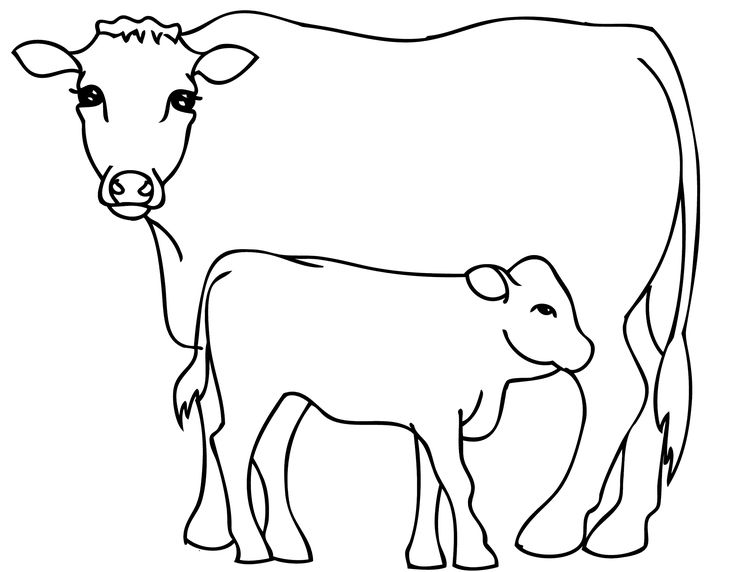 Tuyển tập tranh tô màu con bò cho bé tập tô | Trang tô màu, Hình ảnh, Chủ đề