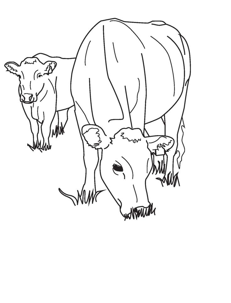 Tuyển tập tranh tô màu con bò cho bé tập tô | Hình vẽ động vật, Bản vẽ, Động vật