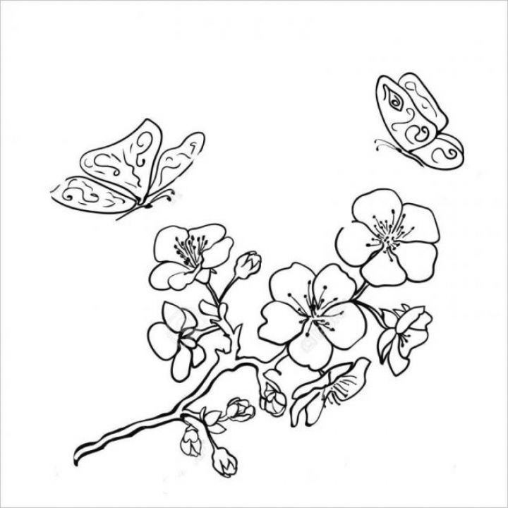 Tranh tô màu hoa đào hoa mai ngày Tết đẹp cho bé - TeachVN.com | Hoa đạo, Mẫu hoa, Hoa