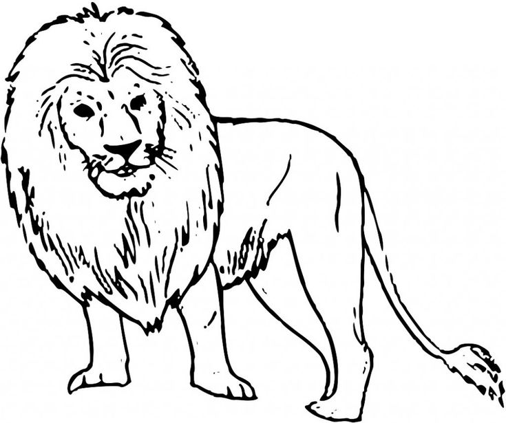 Chia sẻ hơn 65 vẽ sư tử đẹp siêu đỉnh - Tin Học Vui