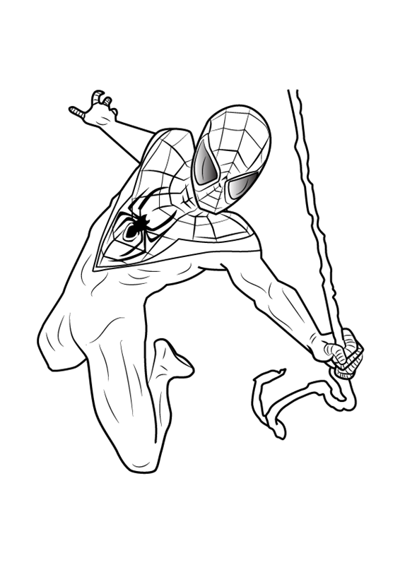 Tuyển tập tranh tô màu người nhện dũng mãnh, anh hùng | Spiderman drawing, Ultimate spiderman, Spider coloring page