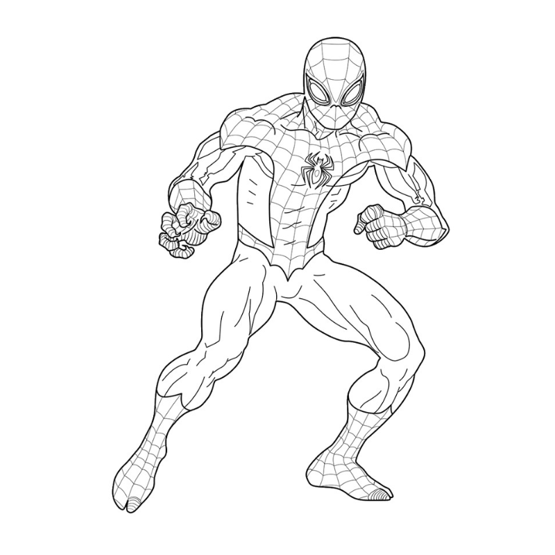 Các Bức Tranh Spider Man Được Tô Màu Sáng Tạo