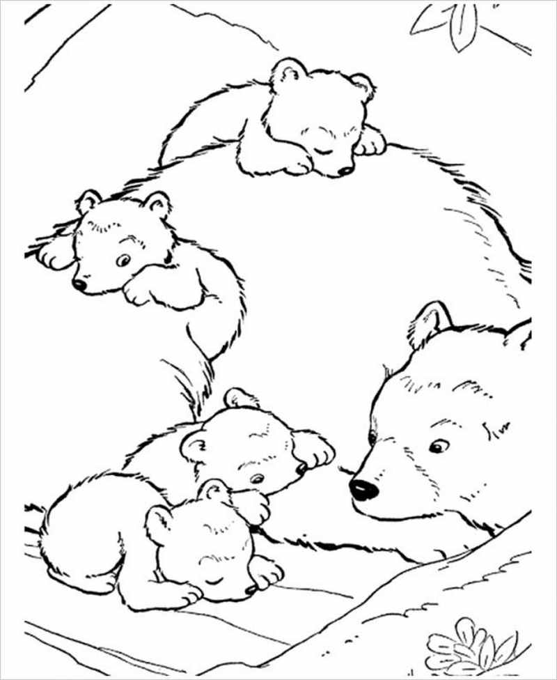 Tranh tô màu hình con gấu cho bé