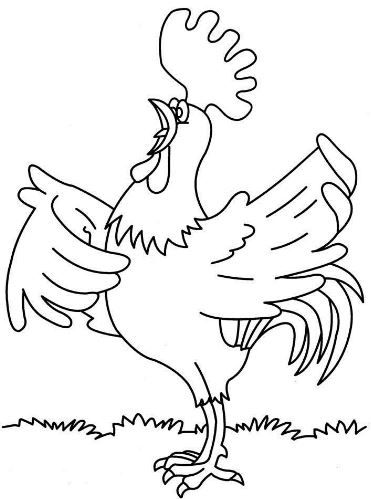 Khám phá 69+ tranh vẽ con gà trống mới nhất - Tin Học Vui