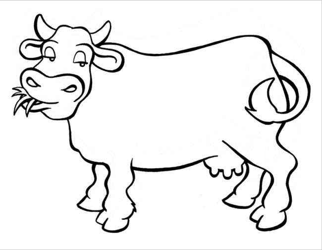 Tranh tô màu con bò cho bé thỏa sức sáng tạo với nhiều màu sắc