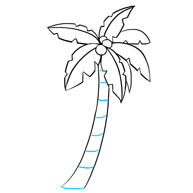 Cách vẽ cây dừa - Dạy Vẽ
