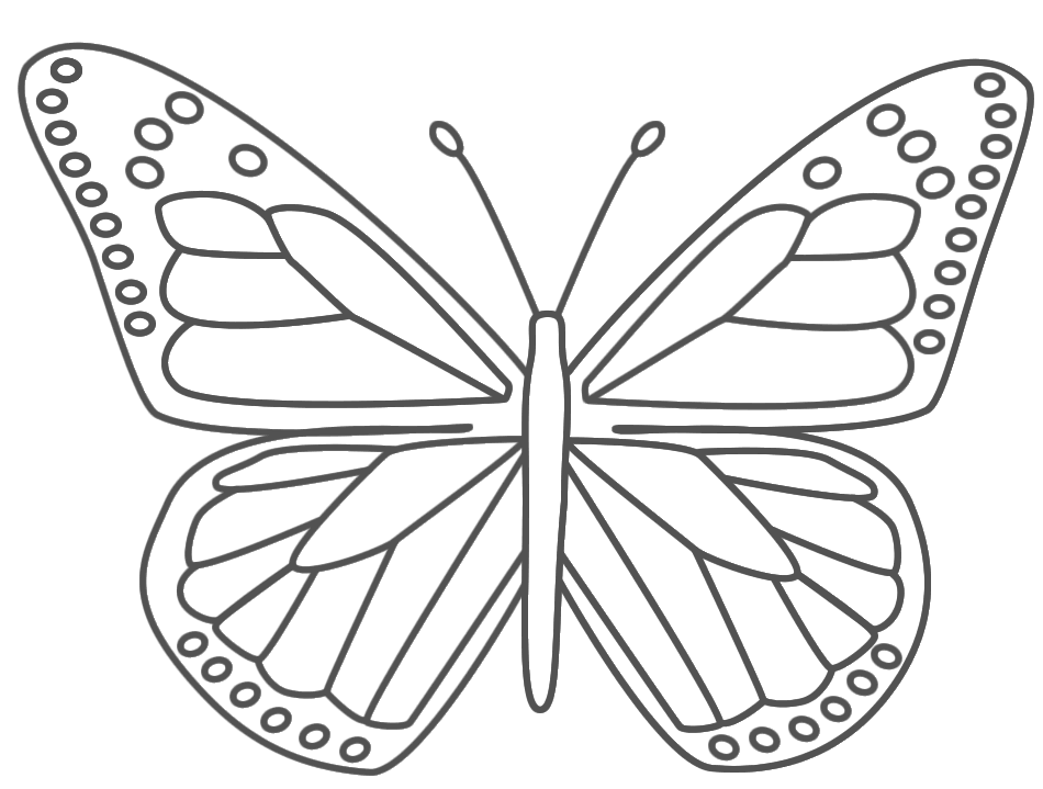 Tranh tô màu 'Con bướm' - VnExpress Đời sống