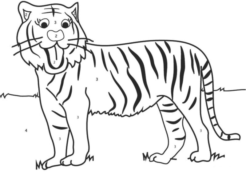 Tổng hợp với hơn 65 về con hổ tô màu mới nhất - trieuson5