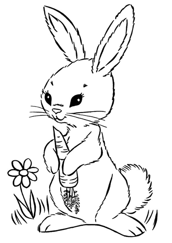 Tô màu con thỏ cầm củ cà rốt - Trang Tô Màu Cho Bé