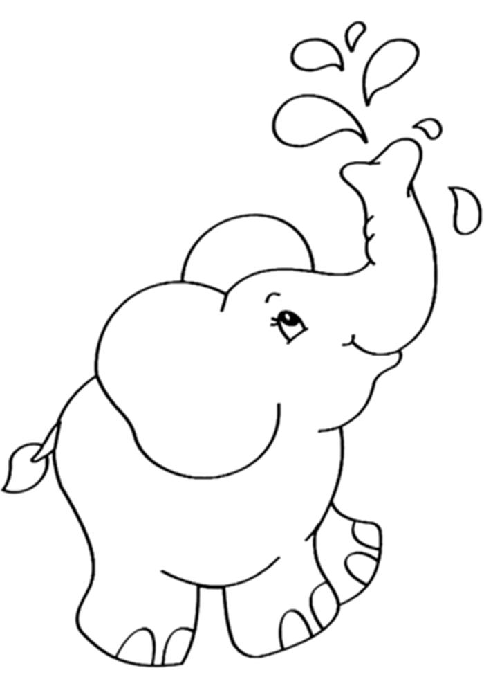 Chia sẻ 56+ về hình con voi tô màu hay nhất - trieuson5