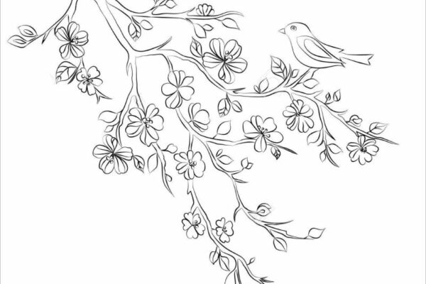 Hình ảnh Vẽ Tranh Tô Màu Những Bông Hoa Của Mùa Hè Trang Cây Cúc Cuốn Sách  Tuyệt Vời Phác Thảo Bản Vectơ PNG , Vẽ Hoa, Vẽ Cây, Vẽ Sách PNG