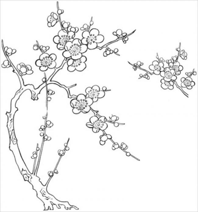 Xem ngay 100 mẫu Hình vẽ cây hoa mai với các kỹ thuật khác nhau