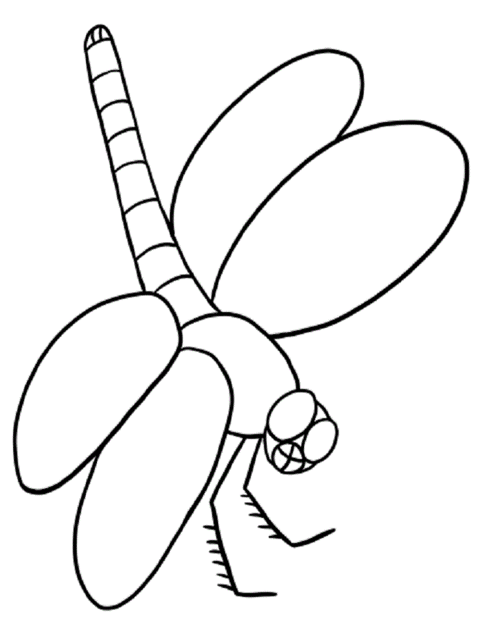 Vẽ các loại côn trùng dễ dàng nhất – YeuTre.Net