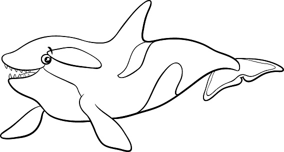 Phim Hoạt Hình Orca Hoặc Trang Sách Tô Màu Nhân Vật Động Vật Cá Voi Sát Thủ Hình minh họa Sẵn có - Tải xuống Hình ảnh Ngay bây giờ - iStock