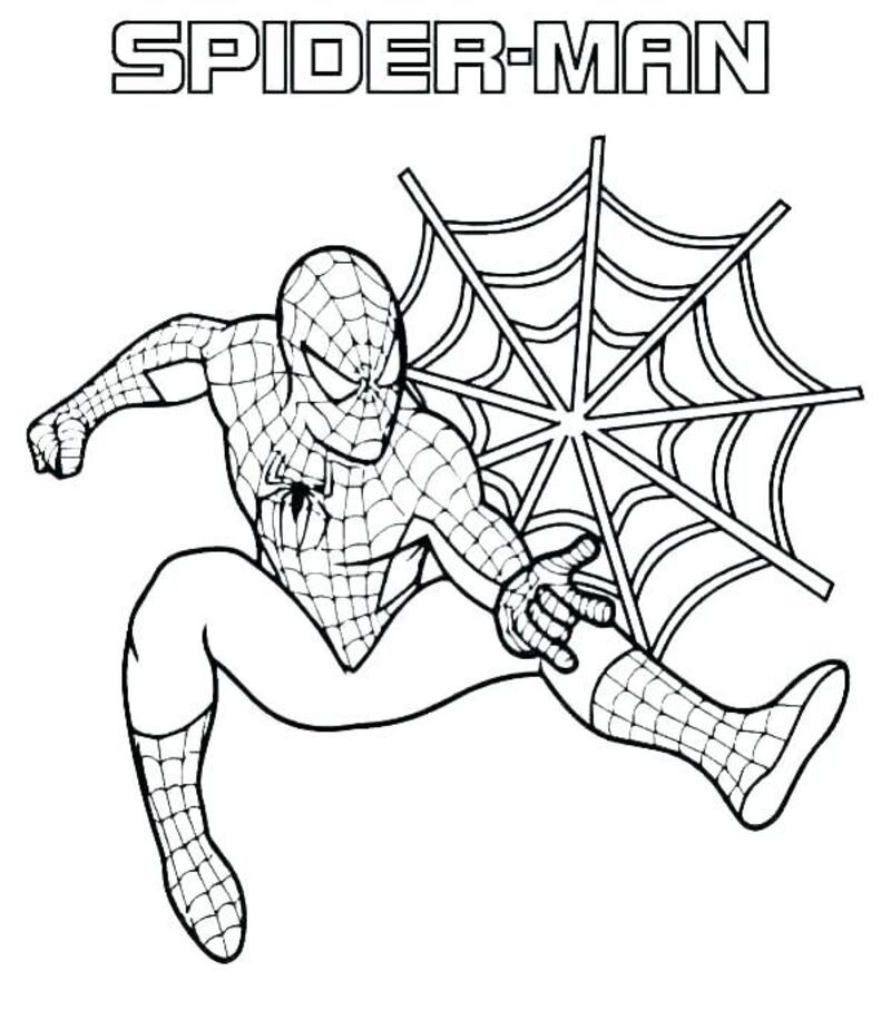 Xem hơn 100 ảnh về hình vẽ siêu nhân nhện - NEC