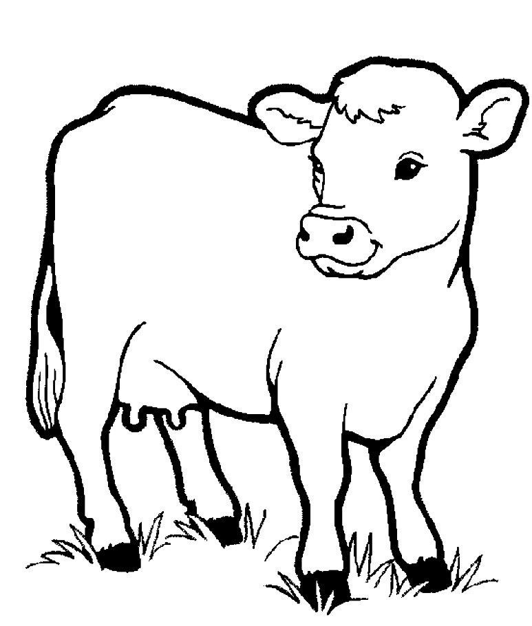 Tổng hợp Hình vẽ con bò cho bé tô màu để bé thỏa sức sáng tạo