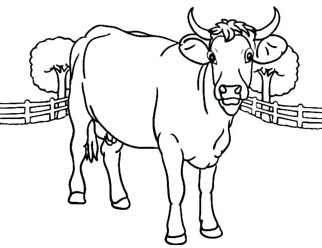 Tuyển tập tranh tô màu con bò cho bé tập tô - TRẦN HƯNG ĐẠO