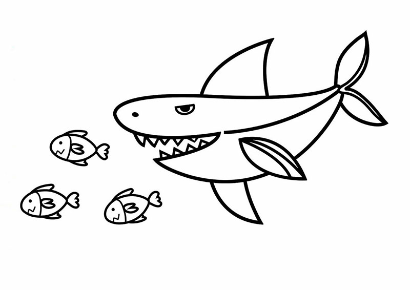 Tuyển tập tranh tô màu cá mập dưới biển sâu cho bé tập tô | Cá mập, Cá  vàng, Ngựa đẹp