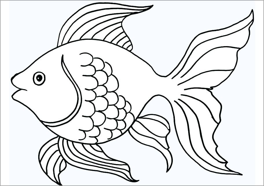 Bộ tranh tô màu con cá vô cùng dễ thương và đáng yêu cho bé - Jadiny