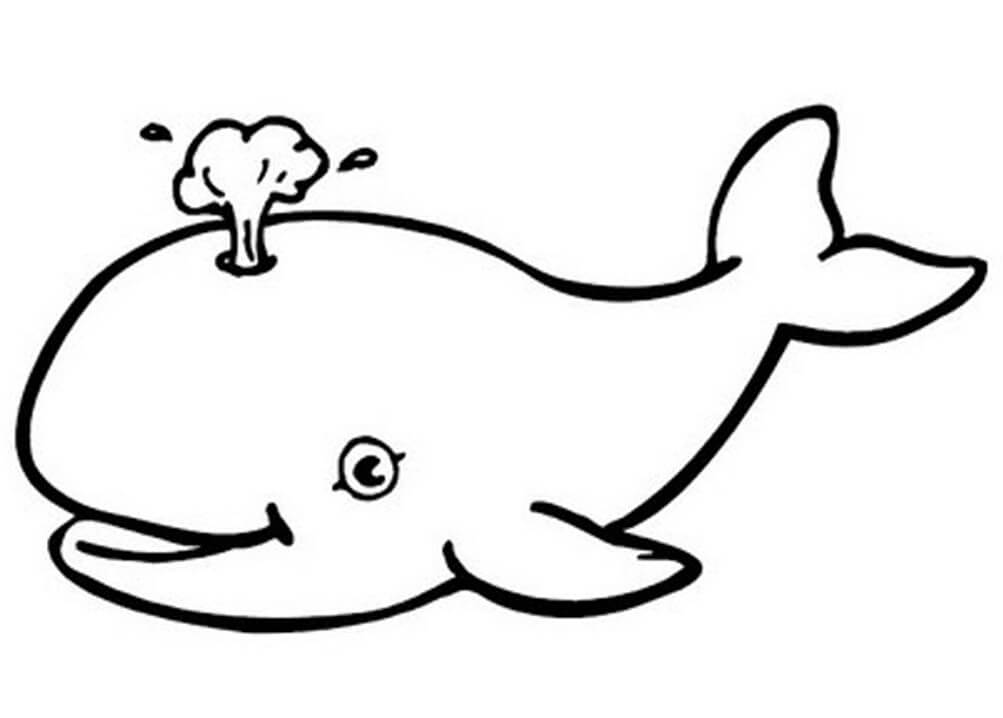 Tô màu Cá voi Đang Cười - Trang Tô Màu Cho Bé
