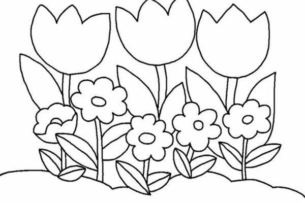 Tranh tô màu bông hoa dành cho các bé mới tập tô - Phú Long Blog