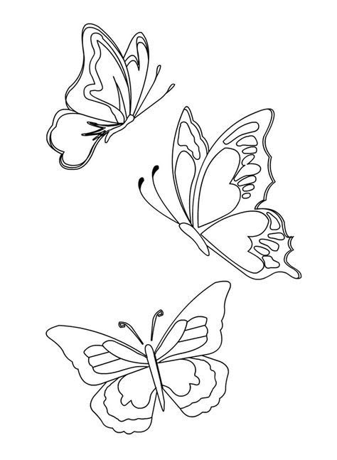 Top 70+ vẽ con bướm đơn giản siêu hot - Tin Học Vui