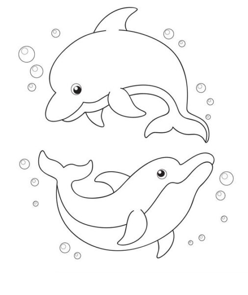Chia sẻ hơn 67 tranh vẽ con cá heo hay nhất - Tin Học Vui