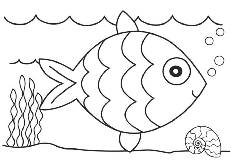 Chi tiết với hơn 52 về tranh tô màu con cá chép hay nhất - Du học Akina