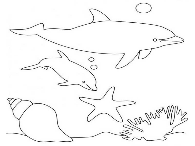 Cập nhật 51+ về hình vẽ cá heo - cdgdbentre.edu.vn