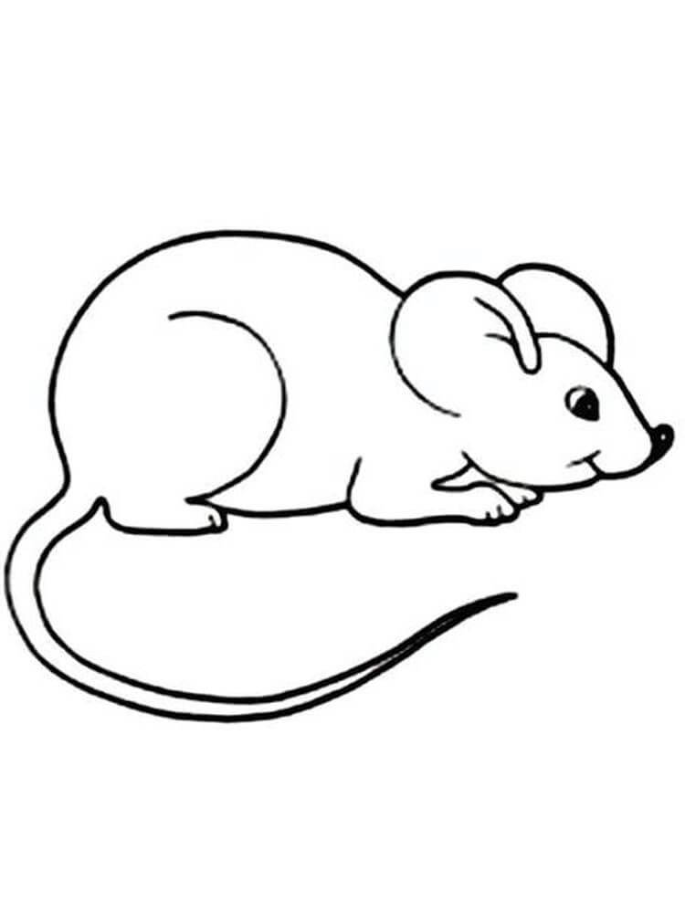 Tô màu Con Chuột - Trang Tô Màu Cho Bé