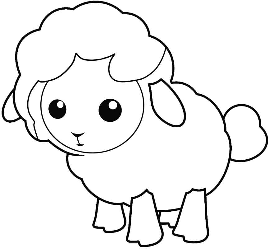 Tô màu Con Cừu Bé Nhỏ - Trang Tô Màu Cho Bé
