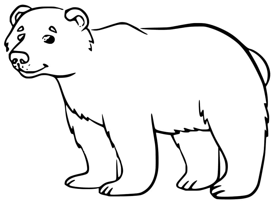 Tô màu Con Gấu Đen Đáng Yêu - Trang Tô Màu Cho Bé