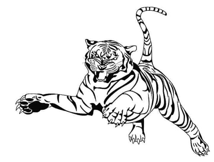Chi tiết với hơn 315 tranh vẽ con hổ bằng bút chì hay nhất - Tin Học Vui