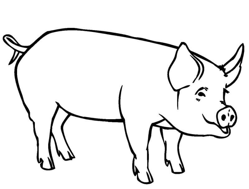 Tô màu Con Lợn Hài Hước - Trang Tô Màu Cho Bé