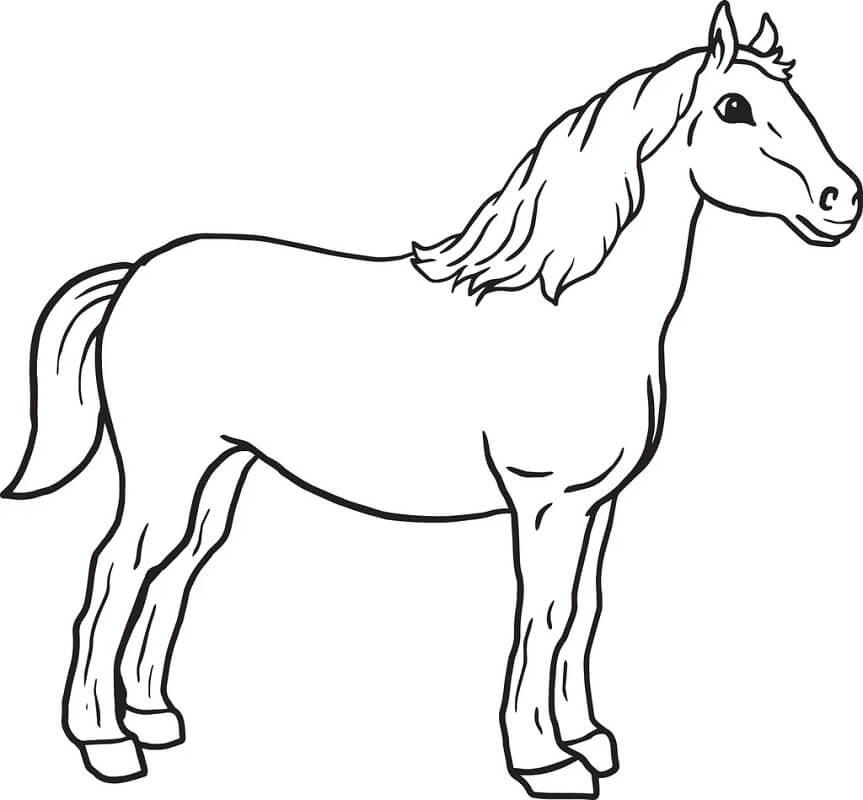 Tô màu Con Ngựa Đang Đứng - Trang Tô Màu Cho Bé
