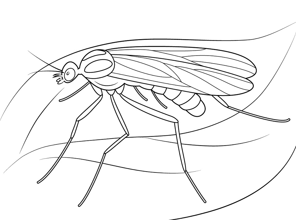 Tổng hợp hơn 64 tranh vẽ côn trùng tuyệt vời nhất - Tin Học Vui