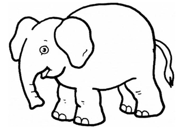 Chi tiết hơn 57 về tô màu con voi mới nhất - cdgdbentre.edu.vn
