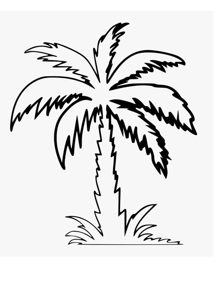 Tô màu Hình Vẽ Cây Dừa - Trang Tô Màu Cho Bé