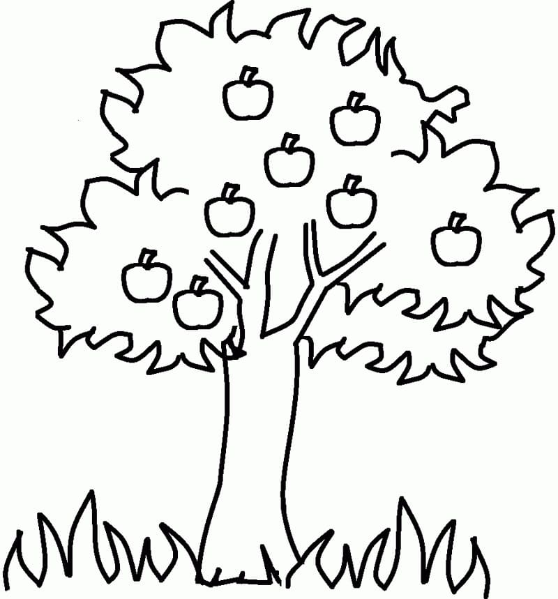 Xem hơn 100 ảnh về hình vẽ cây táo - NEC