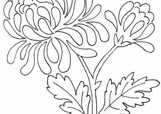 Tô Màu Bông Hoa và Nghệ thuật Phối màu: Bí quyết Tạo nên T… | Flickr