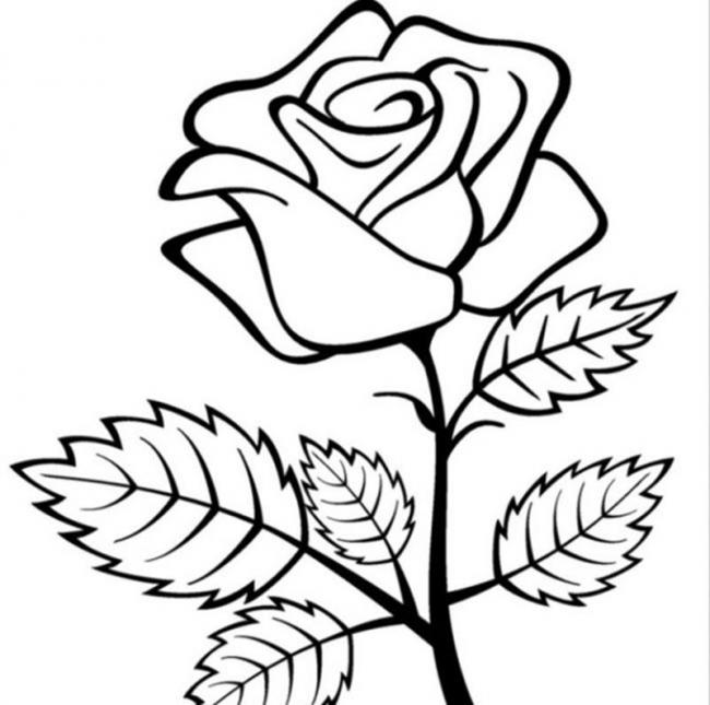 Tranh tô màu hoa hồng đẹp nhất - Tô màu trực tuyến