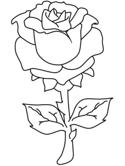 Tranh tô màu hoa hồng đẹp « in hình này