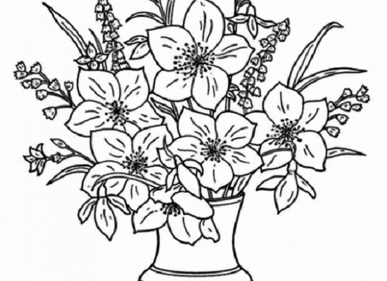 Vẽ hoa mai ngày tết | Cách vẽ hoa mai | Mai vàng ngày tết - YouTube